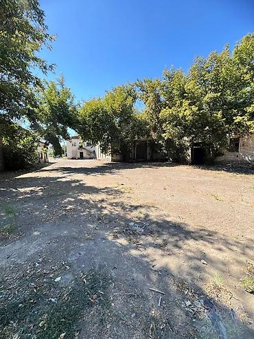 Продажа участков: 25000 соток, Красная книга — 13