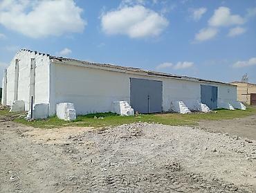 İcarəyə binalar: Kənd təsərrüfatı və anbar təyinatlı qapalı tikili - Beton karkaslı və — 12