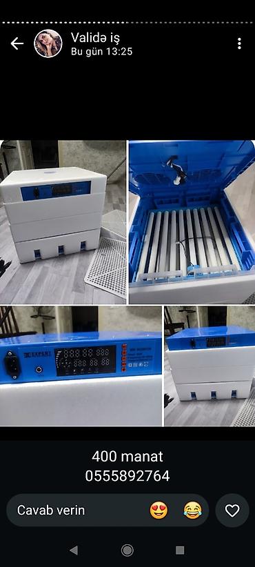 inkubator kreditle: 100 yumurta, Bütün növ quşlar üçün — 1