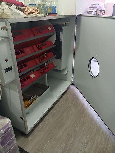 sud sagan pompa: 1100 yumurta, Azərbaycan, Tam avtomat — 2