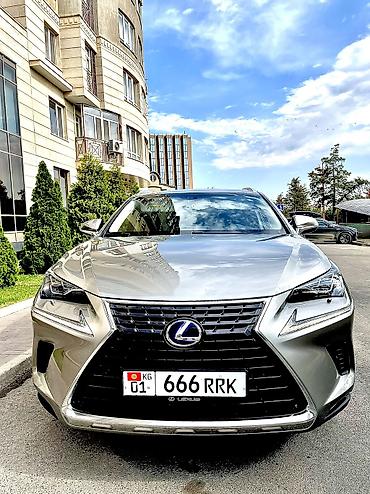 byd destroyer 05: Lexus NX: 2018 г., 2.5 л, Вариатор, Гибрид, Кроссовер — 3