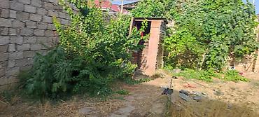 Torpaq sahələrinin satışı: 2 sot, Tikinti, Mülkiyyətçi, Kupça (Çıxarış) — 18