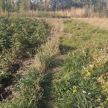 Продажа участков: 8 соток, Для строительства, Красная книга — 8