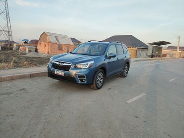 Subaru: Subaru Forester: 2019 г., 2.5 л, Вариатор, Бензин, Кроссовер