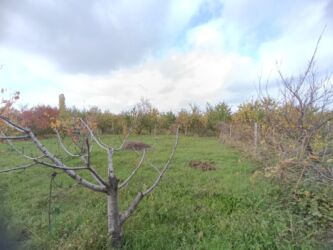 Bağ evlərinin satışı: Şabran, 100 kv. m, 3 otaqlı, Hovuzsuz, Kommunal xətlər qoşulmayıb — 3