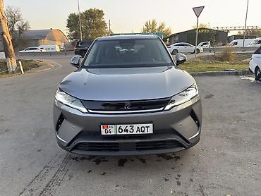 go park: BYD Yuan Plus: 2025 г., Автомат, Электромобиль, Кроссовер — 1
