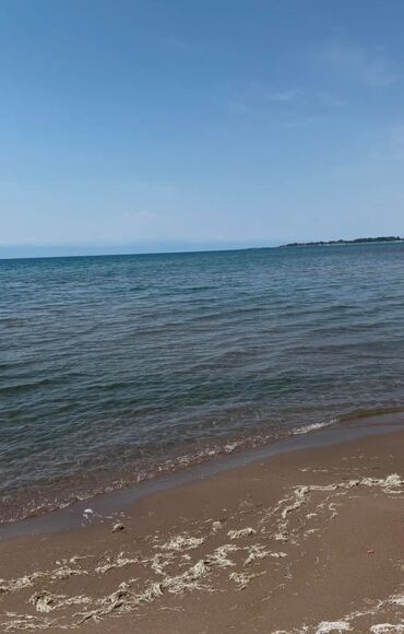 гостевой дом каракол: 4 соток, Для строительства, Красная книга