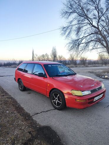 расрочкага машина берем: Toyota Corolla: 1995 г., 1.4 л, Механика, Бензин, Универсал