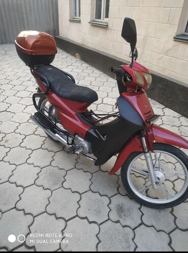 скутер цена в бишкеке: Сдаю в аренду скутер 
БИШКЕК 
2.5 литра на 100 км 
Хорошем состояние