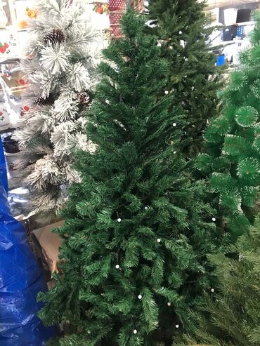 Yeni il ağacları: Yolka satisi teze mallar endirimde Yeni il agaci Diger olculerde var — 10
