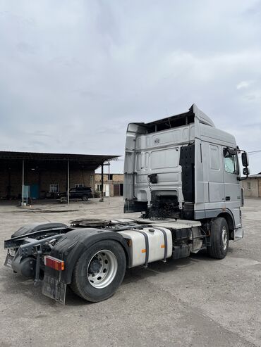 Тягачи: Тягач, DAF, 2008 г. — 4