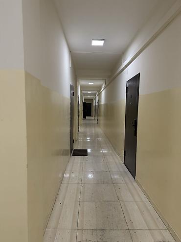 Долгосрочная аренда квартир: 1 комната, Собственник, Без подселения — 5