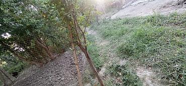 Torpaq sahələrinin satışı: 14 sot, Biznes üçün, Mülkiyyətçi, Kupça (Çıxarış) -da lalafo.az — 7 Torpaq sahələrinin satışı: 14 sot, Biznes üçün, Mülkiyyətçi, Kupça (Çıxarış) — 7