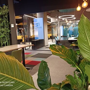 Balkonlar: 1. Cam Balkon Qatlanan Sistem 2. Cam Balkon Sürgülü Sistemi 3. Cam — 13