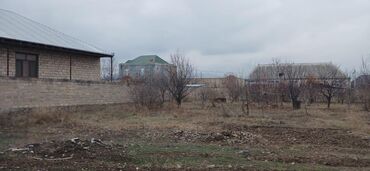 Torpaq sahələrinin satışı: 15 sot, Tikinti, Mülkiyyətçi, Kupça (Çıxarış), Bələdiyyə, Müqavilə — 10