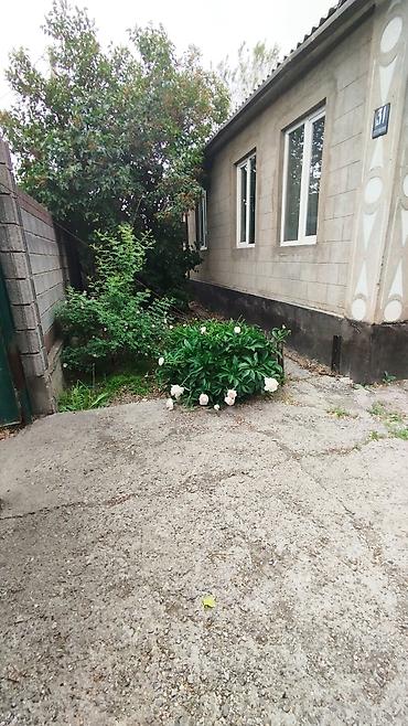 степной: Продаётся дом в селе кожомкул (военно антоновка) .Участок 7 соток — 9