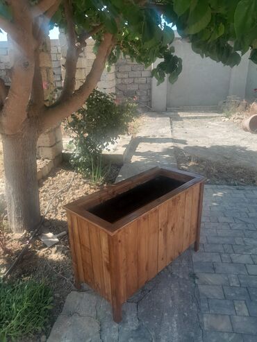etirsah bitkisi: Taxta dibçəklərin hazırlanması hər ölçüde
Şəkildə olan 90x60dır