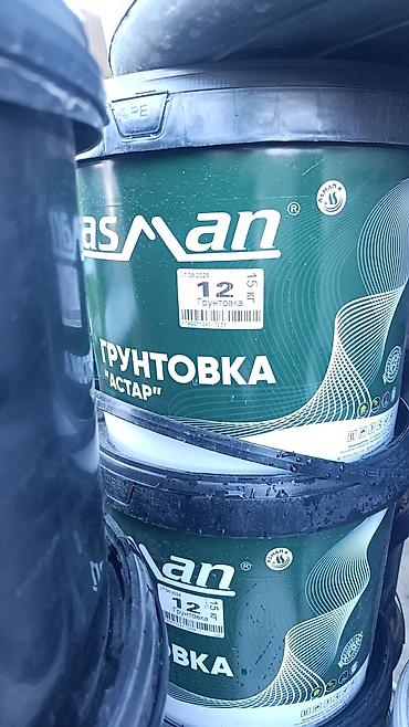 Водно-дисперсионная, Глубокого проникновения, ASMAN, 15 кг