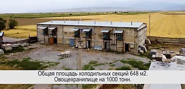 Продажа складов и мастерских: Сдаю ; Склады и Овощехранилище с секциями, можно под склад ( на любой — 7