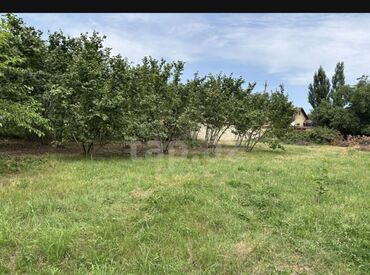 Torpaq sahələrinin satışı: 12 sot, Tikinti, Mülkiyyətçi, Kupça (Çıxarış) -da lalafo.az — 9 Torpaq sahələrinin satışı: 12 sot, Tikinti, Mülkiyyətçi, Kupça (Çıxarış) — 9