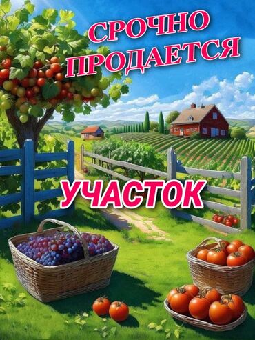 сельхоз земля: 4 соток, Бизнес үчүн, Кызыл китеп, Техпаспорт