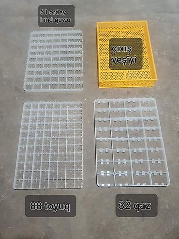 İnkubatorlar: Bütün növ quşlaq üçün — 4