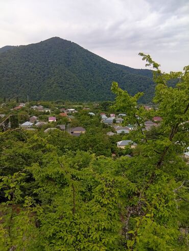 Günlük kirayə evlər: 40 kv. m, 2 otaqlı, Kombi, İnternet, Telefon -da lalafo.az — 20 Günlük kirayə evlər: 40 kv. m, 2 otaqlı, Kombi, İnternet, Telefon — 20