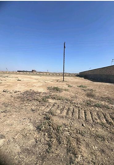 Torpaq sahələrinin satışı: 500 sot, Biznes üçün, Maklerlər narahat etməsin, Kupça (Çıxarış) — 7