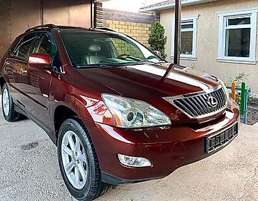 Lexus: Lexus RX: 2007 г. — 21
