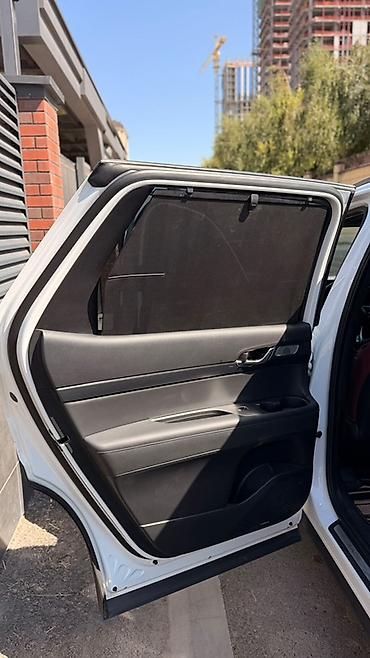 палисат: Hyundai Palisade: 2019 г., 3.8 л, Автомат, Бензин, Кроссовер — 3