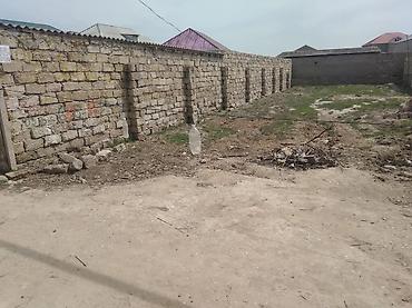 Torpaq sahələrinin satışı: 3 sot, Tikinti, Mülkiyyətçi, Kupça (Çıxarış) — 6