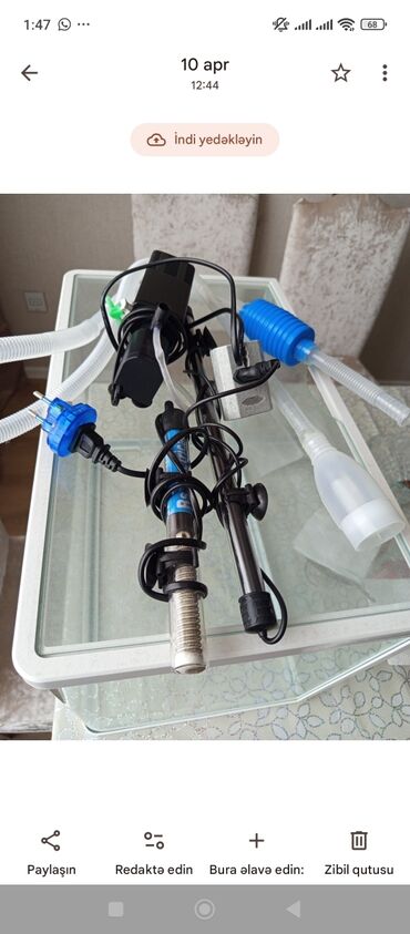 французский бульдог баку: Akvaryum və aksesuarlar komplekti - Şüşə akvaryum: şəffaf, düz şüşə