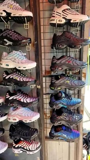 Patike: Nove boje TN patike .Samo 3600 din 36-46 — 14
