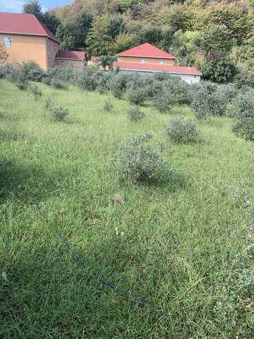 Torpaq sahələrinin satışı: 70 sot, Kənd təsərrüfatı, Bələdiyyə, Texniki pasport — 3