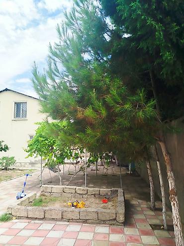 ceyranbatanda ucuz heyet evleri: Türkan qəs., 110 kv. m, 3 otaqlı, Hovuzlu, İnternet, Qaz, İşıq — 8