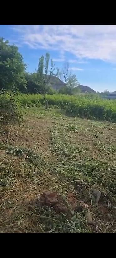 əmlak az xırdalan: 30 sot, Tikinti, Mülkiyyətçi, Kupça (Çıxarış) — 6