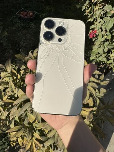 нерабочий компьютер: IPhone 14 Pro, Б/у, 512 ГБ, Серебристый