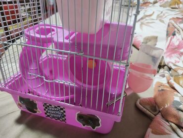 Qəfəslər: Hamster üçün qəfəs – çoxmərtəbəli, aksesuarlarla ki - Rəng — 1