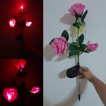 Rasveta: Solarno cveće AKCIJA Cena 1 kom 1250 din 2 kom 2050 din 3 kom 2750 — 3