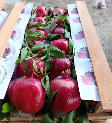 dovsan eti: Iri deneli qeseng nartopdan ve parekende satilir xarici bazar ve yerli — 9