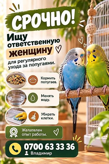 Срочно требуется ответственная помощница для регулярного ухода за