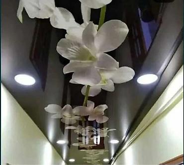 Натяжной потолок: Натяжной потолок Глянцевое, Матовое, 3D потолки Гарантия, Бесплатная консультация, Бесплатный замер at lalafo.kg — 10 Натяжной потолок: Натяжной потолок Глянцевое, Матовое, 3D потолки Гарантия, Бесплатная консультация, Бесплатный замер — 10