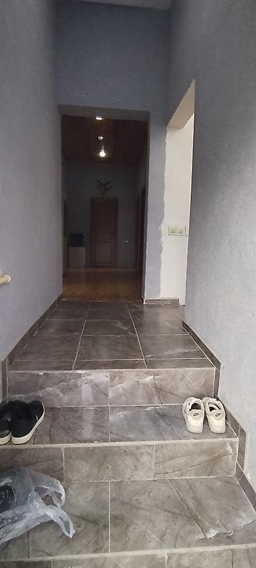 nar agacı: Maştağa Ləhic bağlarında dənizə 2 kilometir məsafədə hər bir şəraiti — 2
