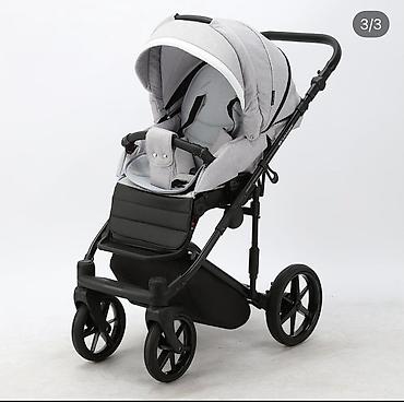 Araba-beşiklər: Adamex, Yeni — 3