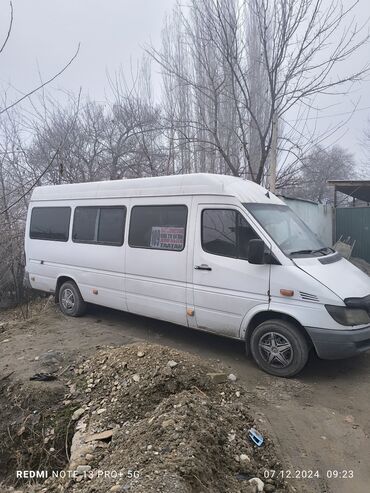 машина вито: Mercedes-Benz Sprinter: 2004 г., 2.9 л, Механика, Дизель, Бус