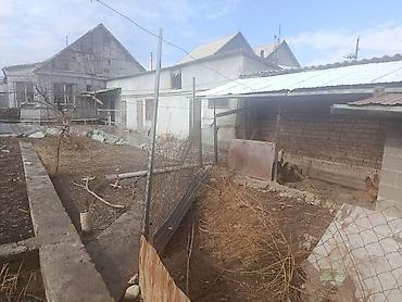 Продажа коттеджей и домов: Срочно продаётся кирпичный дом село Новопавловка по улице Кирова, 6 — 4