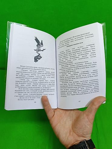 Детские книги: Книга Волшебник Изумрудного Города и Изадора Мун в ассортименте📚 — 4