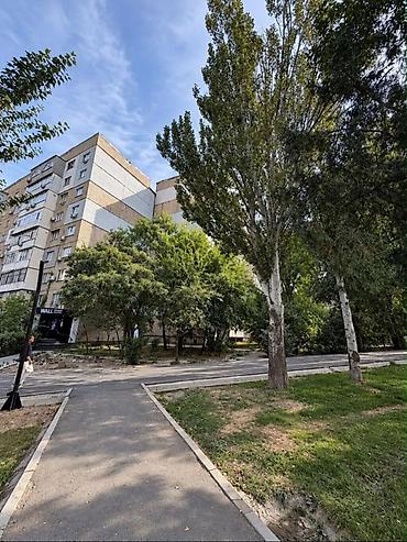Продажа квартир: 3 комнаты, 80 м², Асанбай мкр 106 серия, 2 этаж, Евроремонт — 3