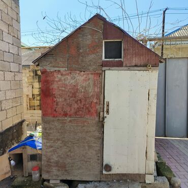 Yuvalar: Salam Aleykum Quşxana satılır istəyən olsa əlaqə saxlasın .hündürlük — 11