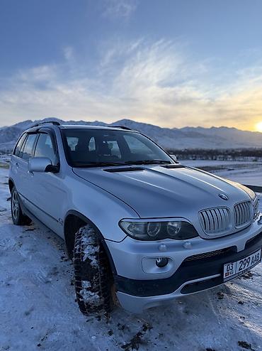 BMW: BMW X5 M: 2003 г., 3 л, Автомат, Дизель, Кроссовер — 14